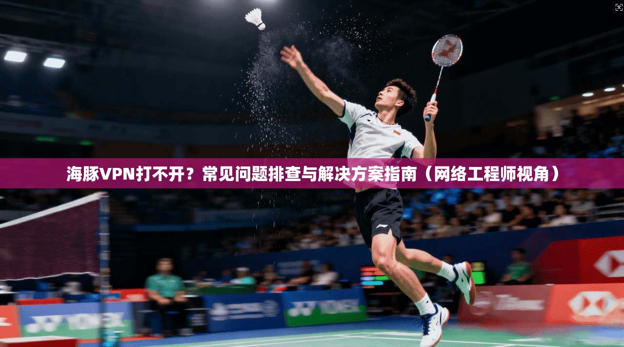 海豚VPN打不开？常见问题排查与解决方案指南（网络工程师视角）
