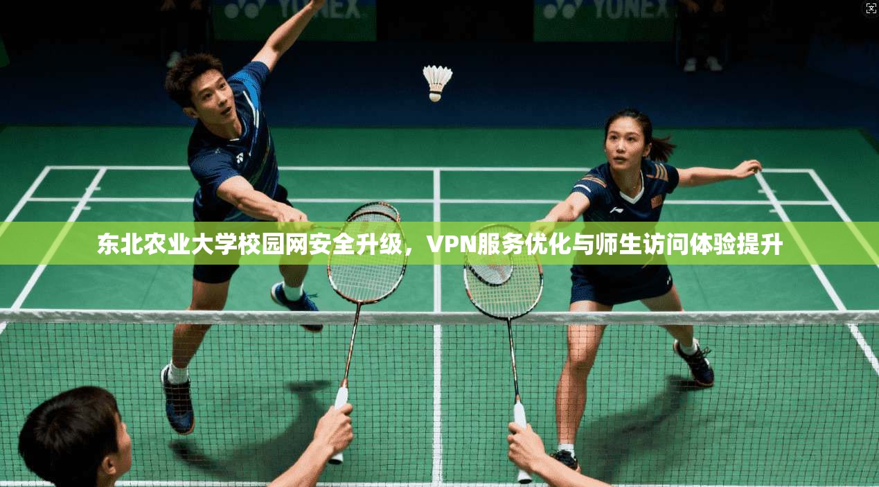 东北农业大学校园网安全升级，VPN服务优化与师生访问体验提升