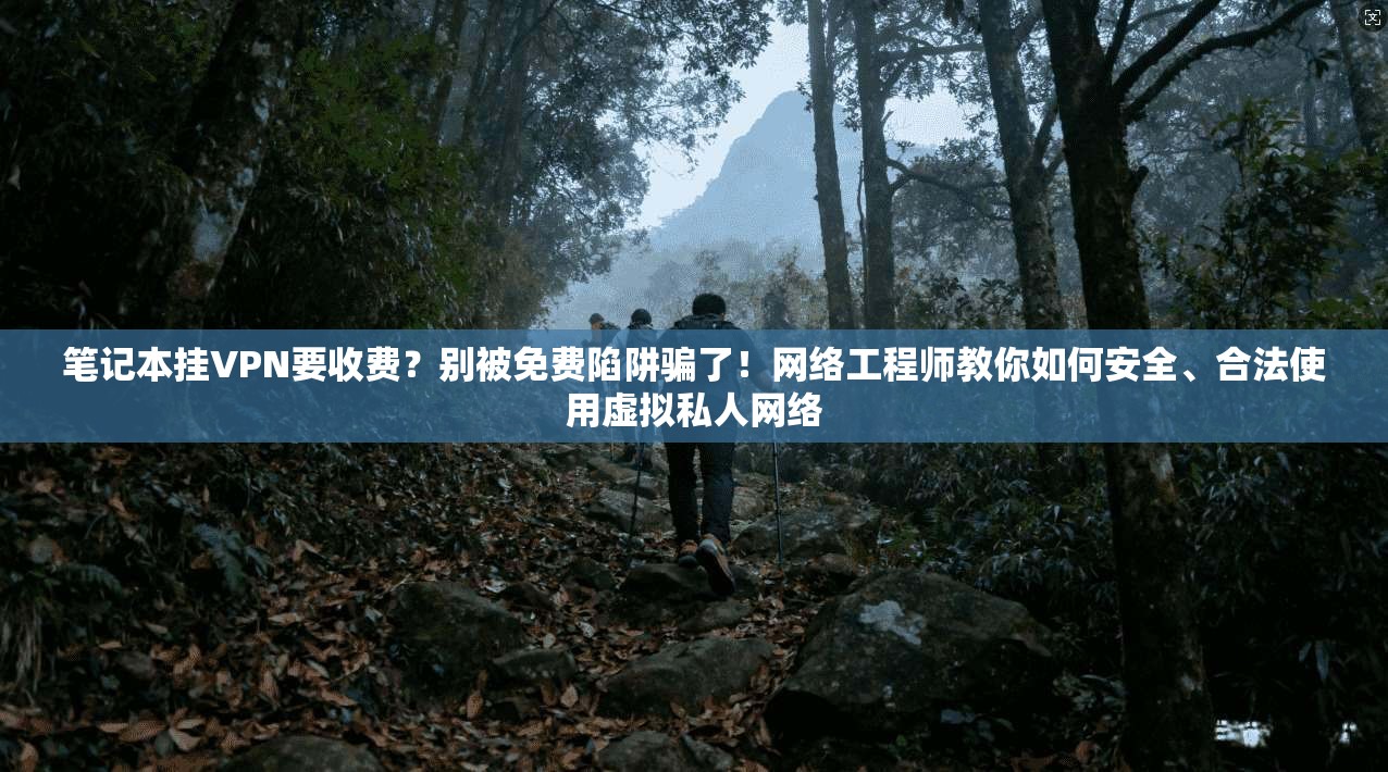 笔记本挂VPN要收费？别被免费陷阱骗了！网络工程师教你如何安全、合法使用虚拟私人网络