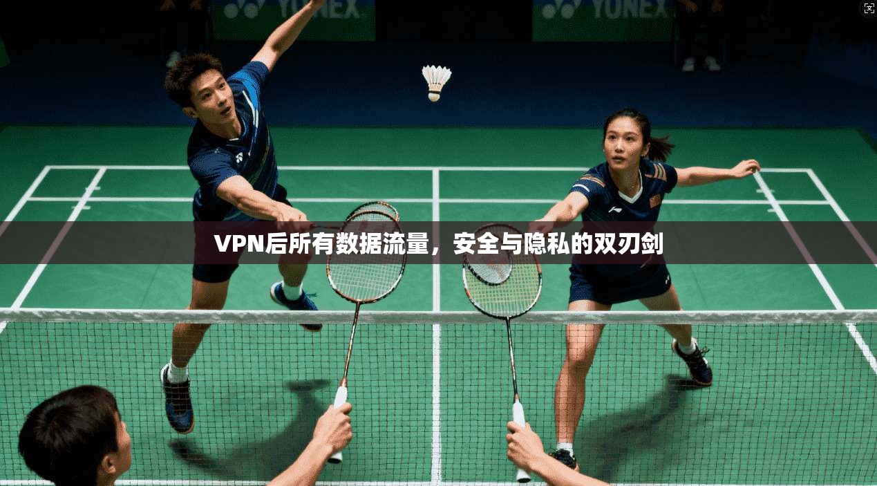 VPN后所有数据流量，安全与隐私的双刃剑