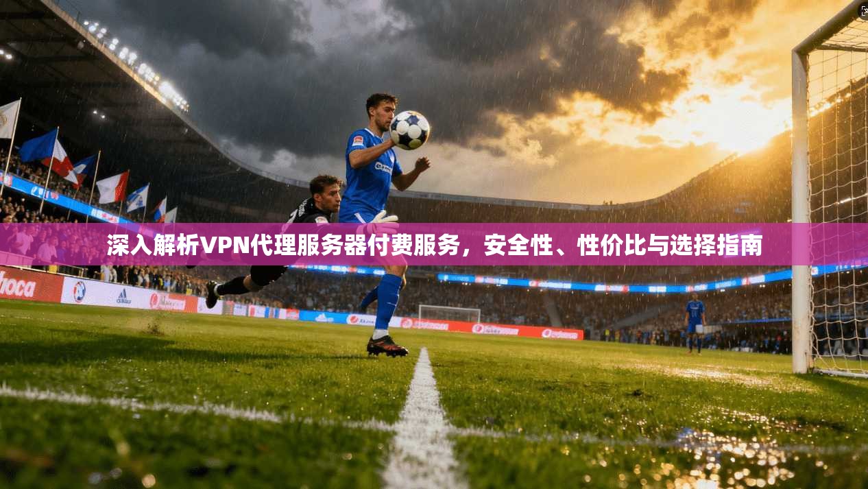 深入解析VPN代理服务器付费服务，安全性、性价比与选择指南