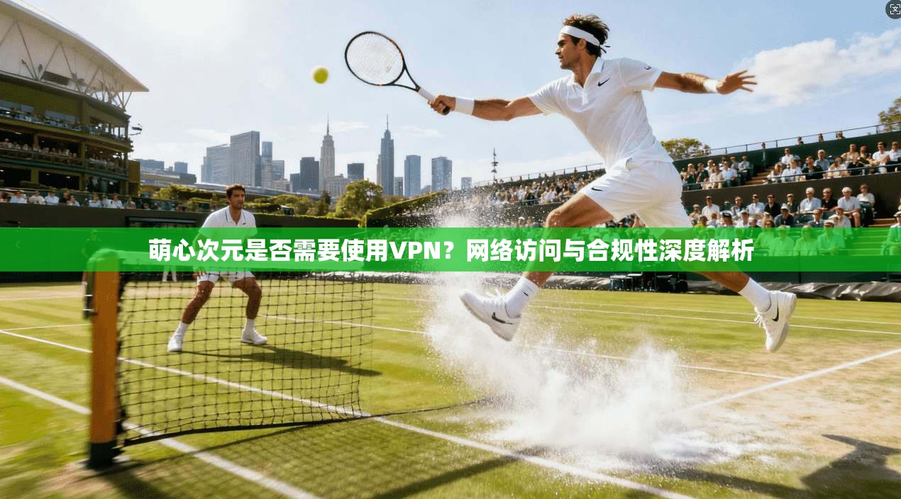 萌心次元是否需要使用VPN？网络访问与合规性深度解析