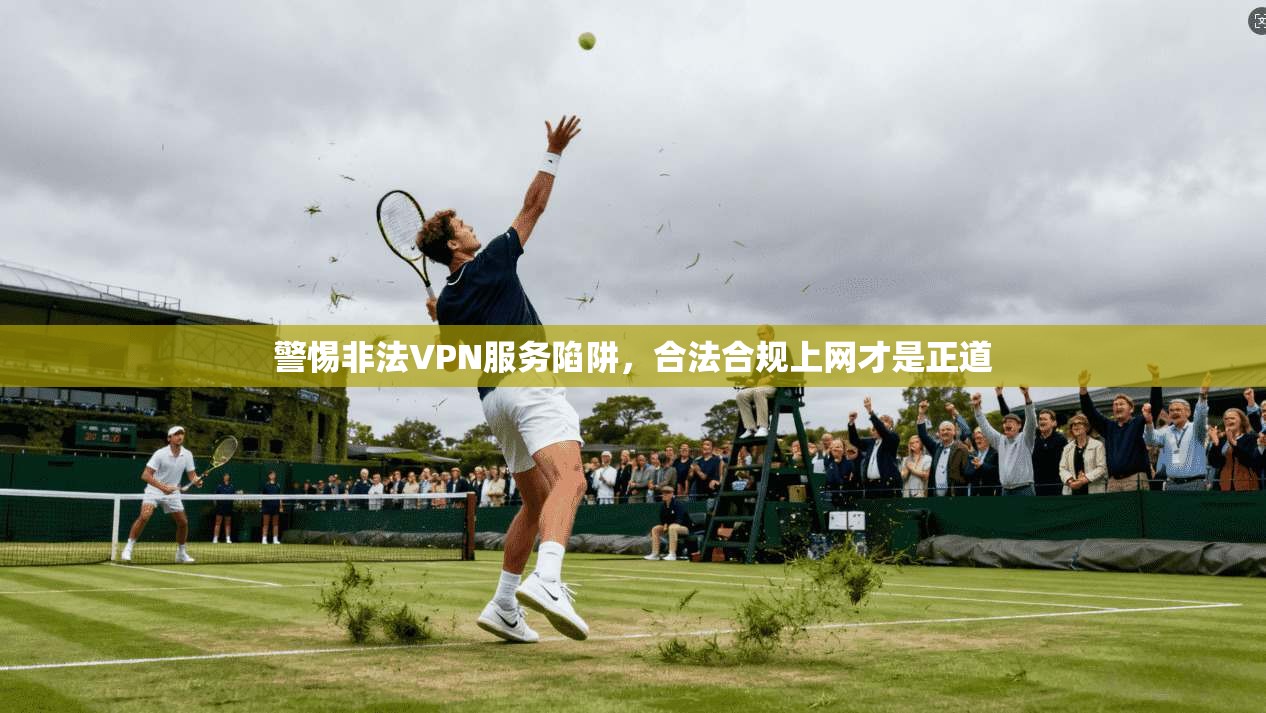 警惕非法VPN服务陷阱，合法合规上网才是正道
