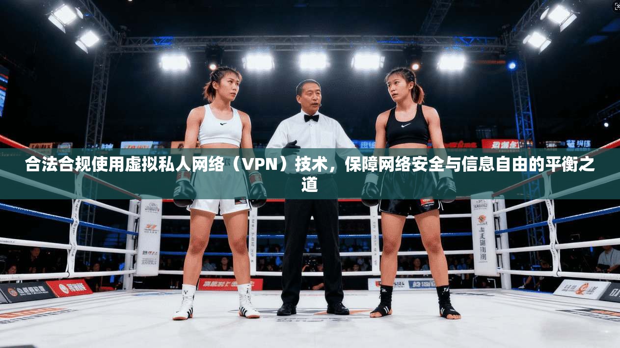 合法合规使用虚拟私人网络（VPN）技术，保障网络安全与信息自由的平衡之道