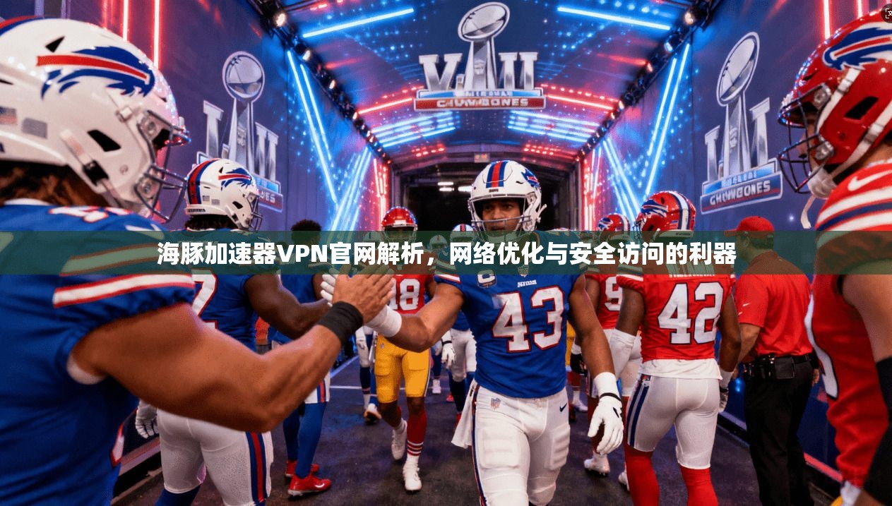 海豚加速器VPN官网解析，网络优化与安全访问的利器
