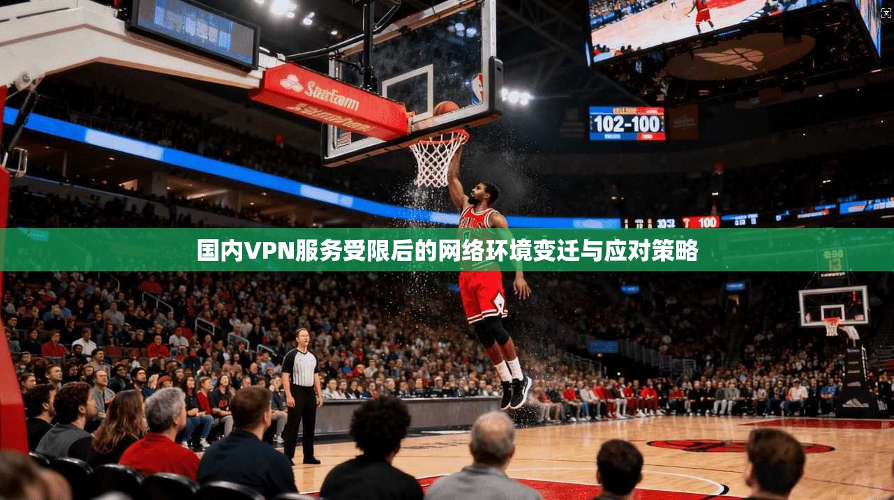 国内VPN服务受限后的网络环境变迁与应对策略