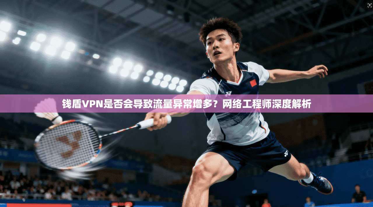 钱盾VPN是否会导致流量异常增多？网络工程师深度解析