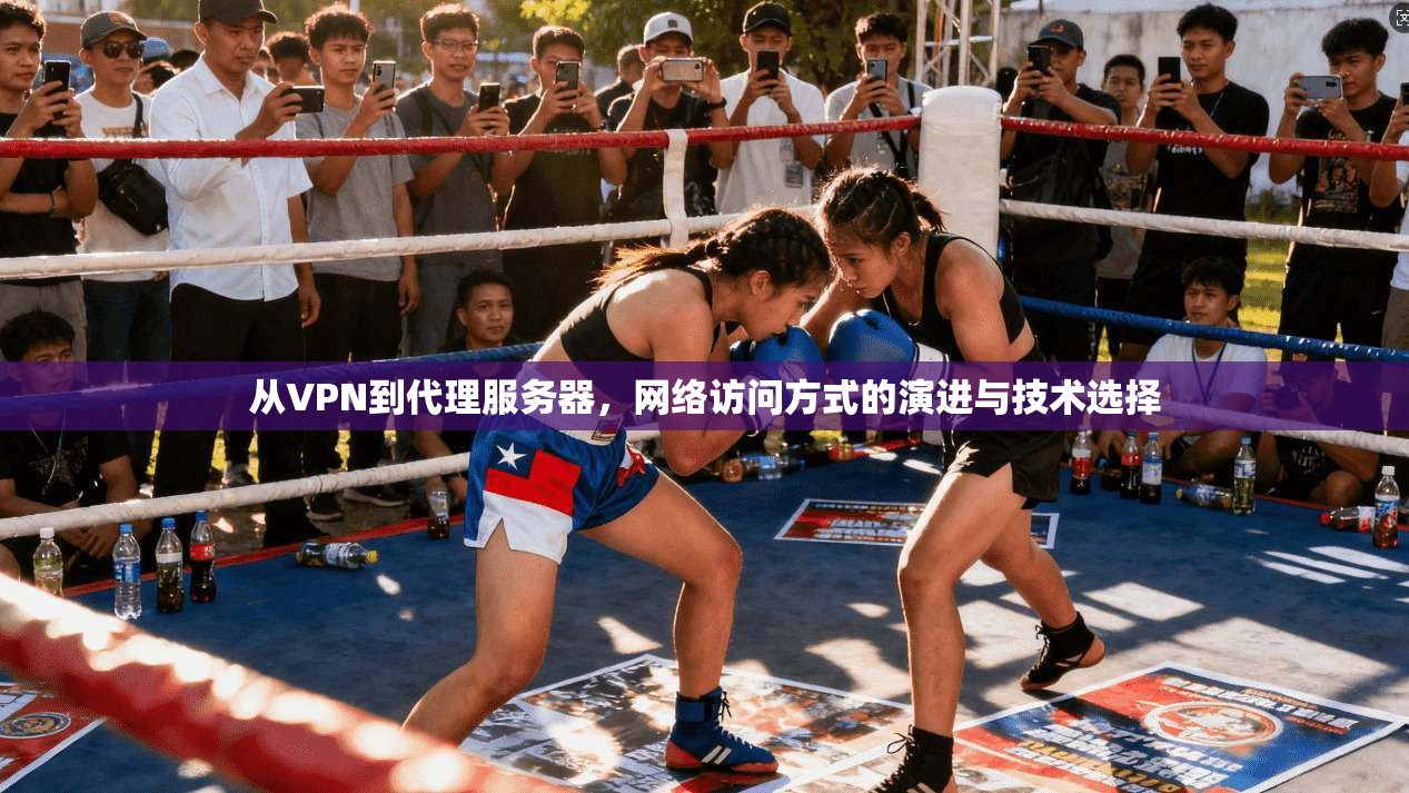 从VPN到代理服务器，网络访问方式的演进与技术选择