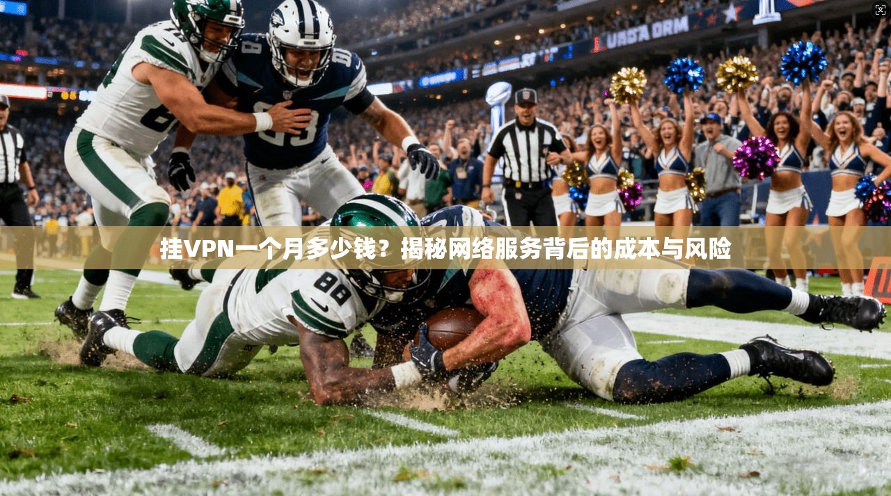 挂VPN一个月多少钱？揭秘网络服务背后的成本与风险