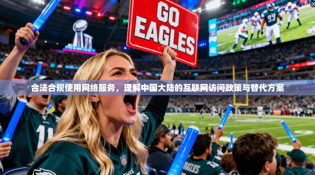 合法合规使用网络服务，理解中国大陆的互联网访问政策与替代方案