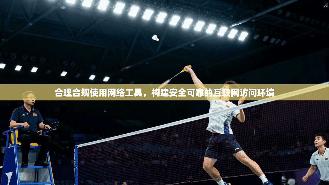 合理合规使用网络工具，构建安全可靠的互联网访问环境
