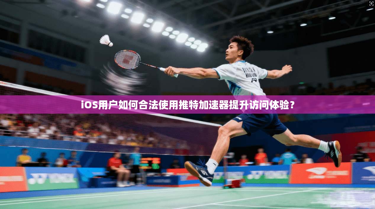 iOS用户如何合法使用推特加速器提升访问体验？