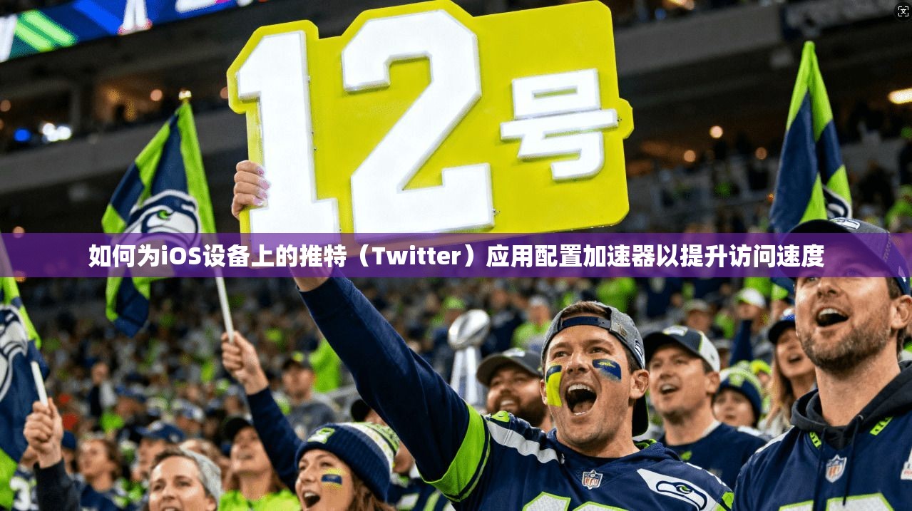 如何为iOS设备上的推特（Twitter）应用配置加速器以提升访问速度