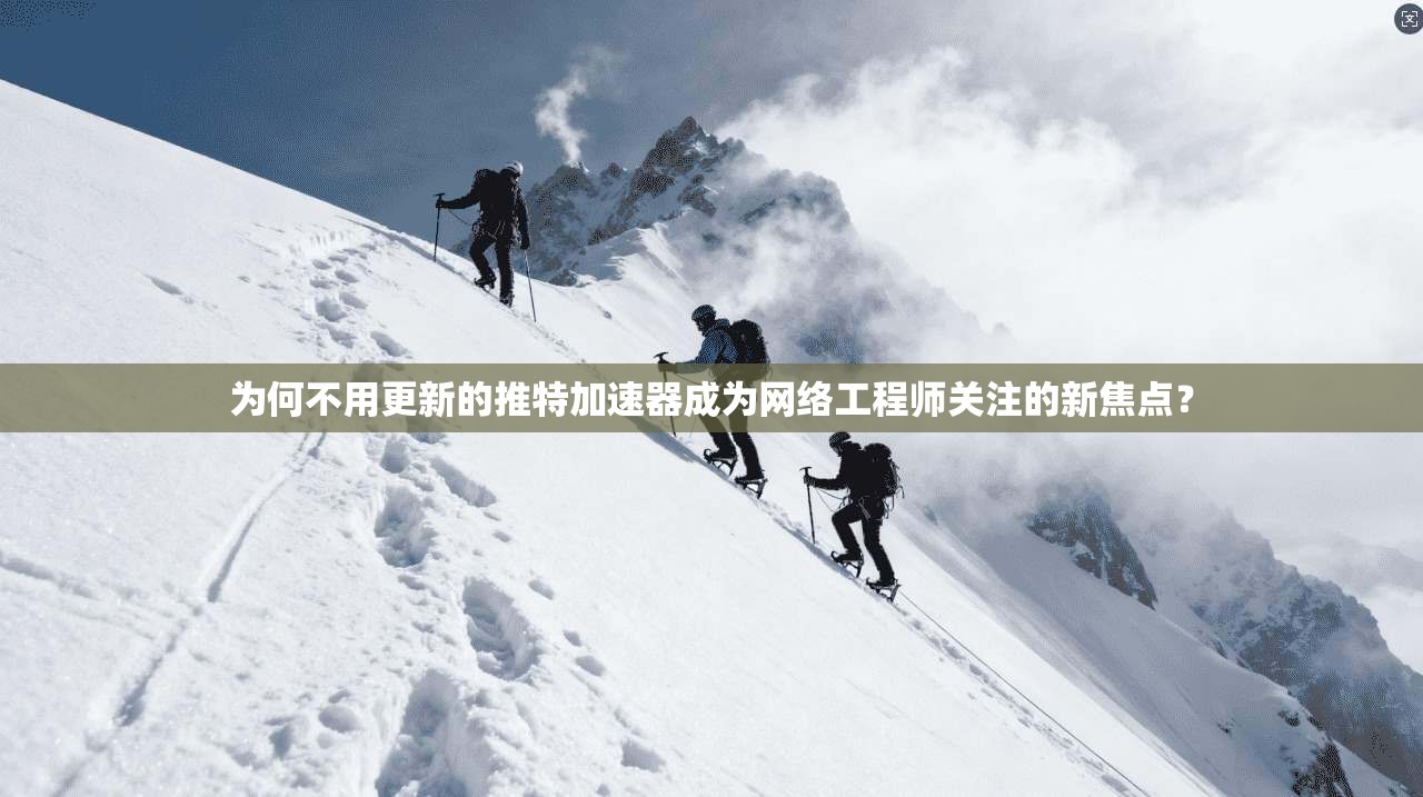 为何不用更新的推特加速器成为网络工程师关注的新焦点？
