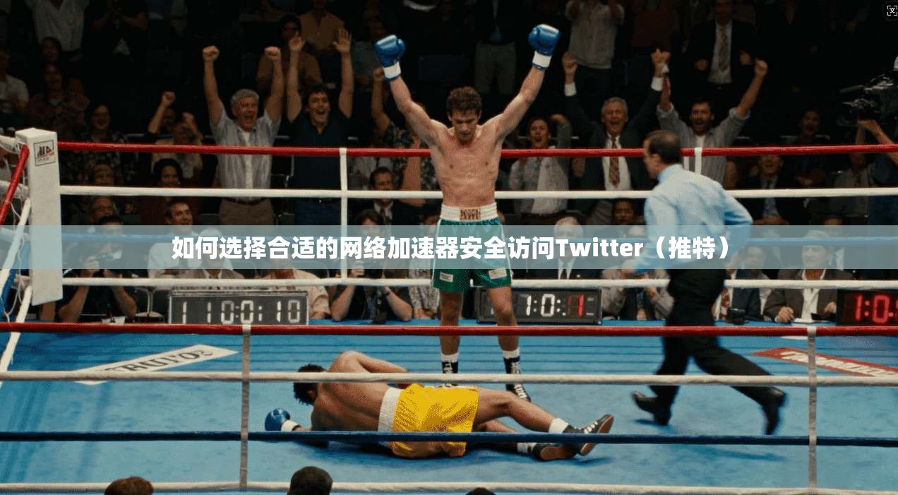 如何选择合适的网络加速器安全访问Twitter（推特）