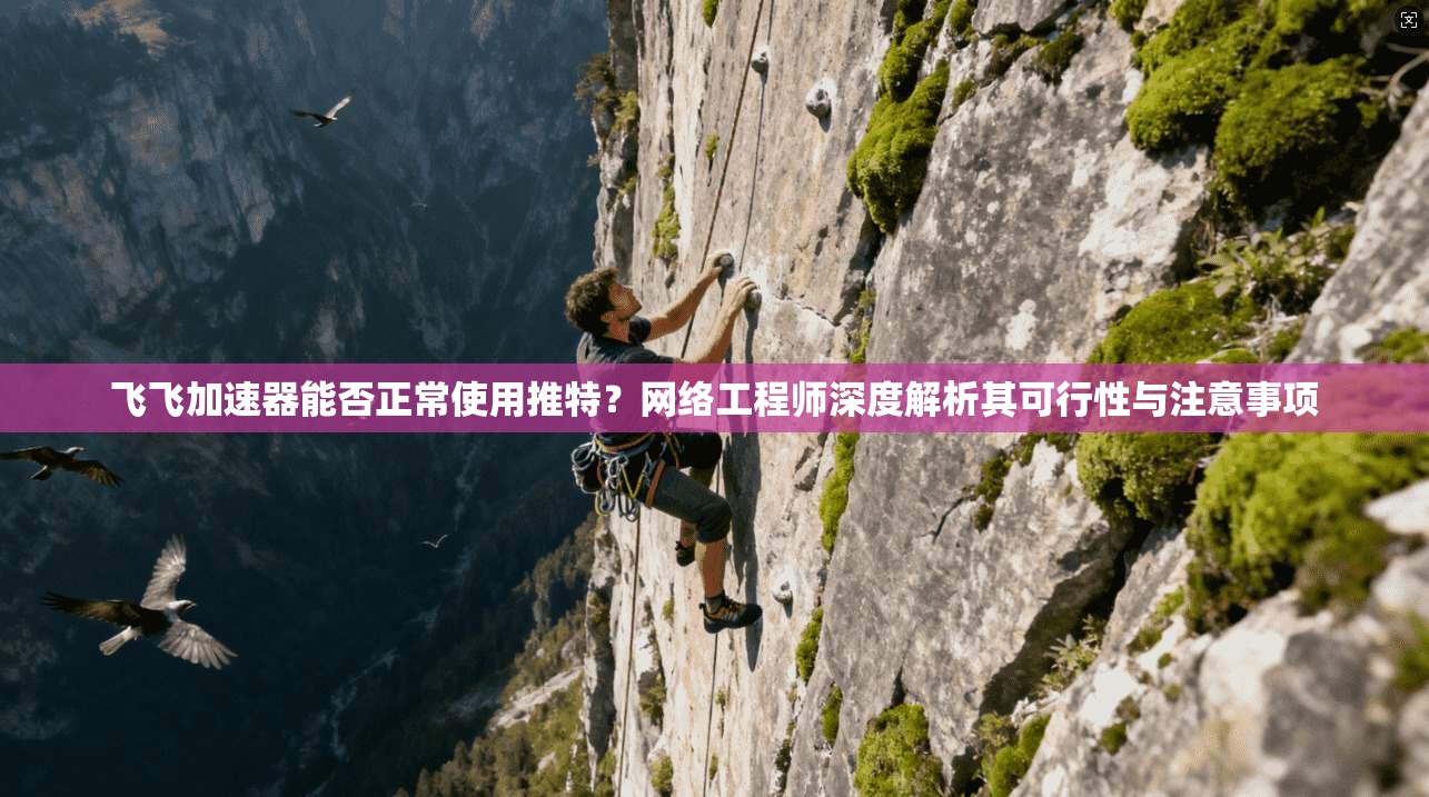 飞飞加速器能否正常使用推特？网络工程师深度解析其可行性与注意事项