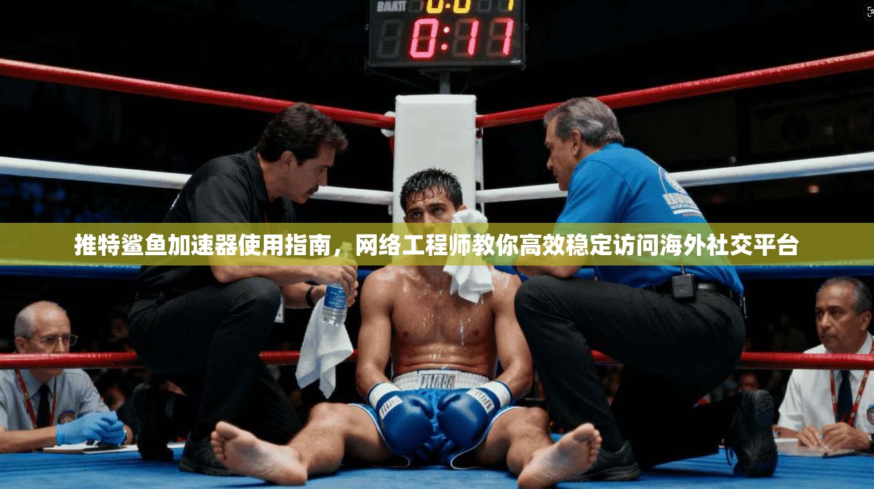 推特鲨鱼加速器使用指南，网络工程师教你高效稳定访问海外社交平台