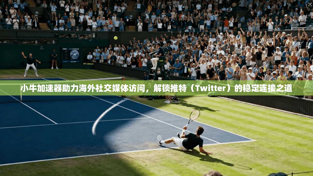 小牛加速器助力海外社交媒体访问，解锁推特（Twitter）的稳定连接之道
