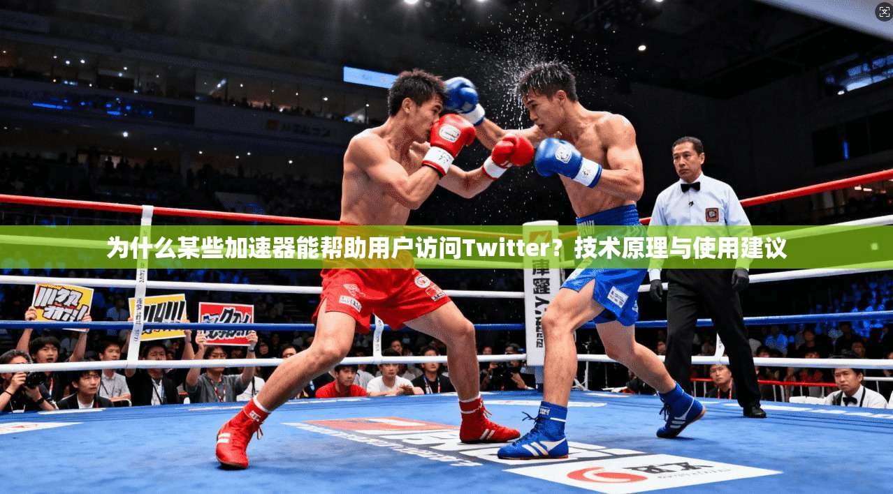 为什么某些加速器能帮助用户访问Twitter？技术原理与使用建议