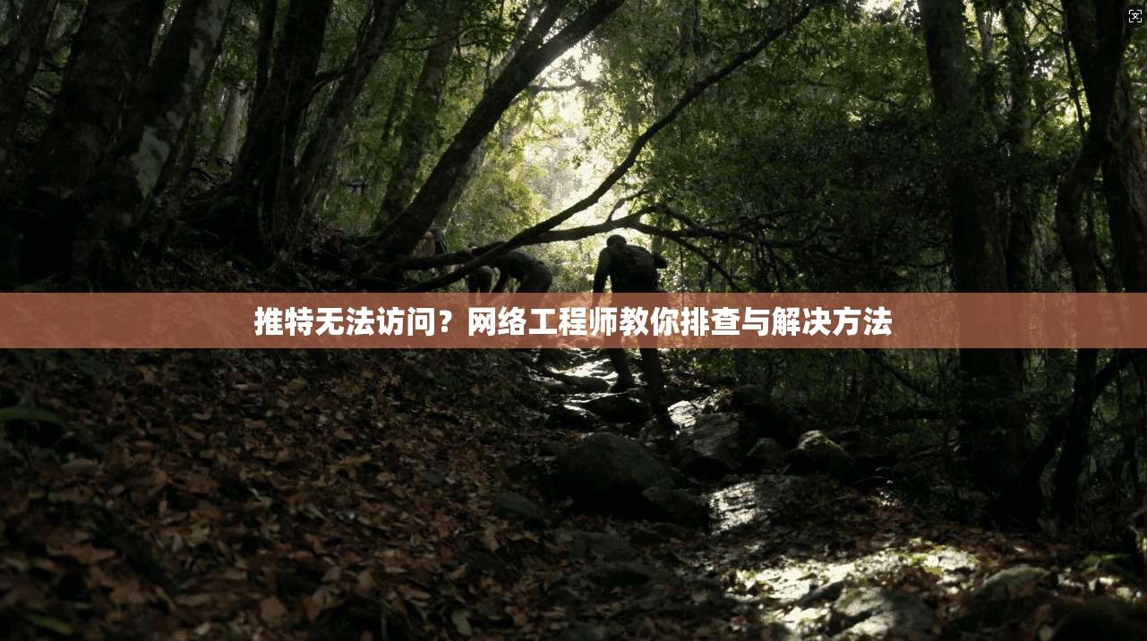 推特无法访问？网络工程师教你排查与解决方法