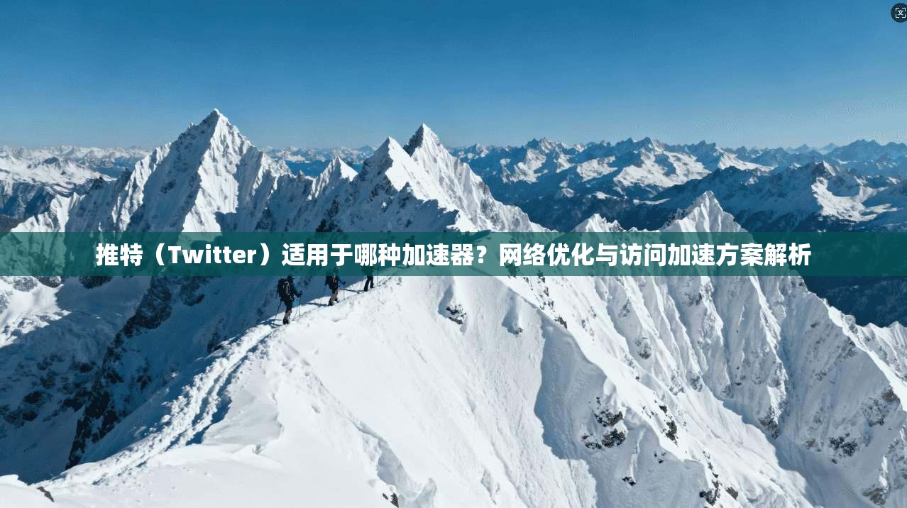 推特（Twitter）适用于哪种加速器？网络优化与访问加速方案解析