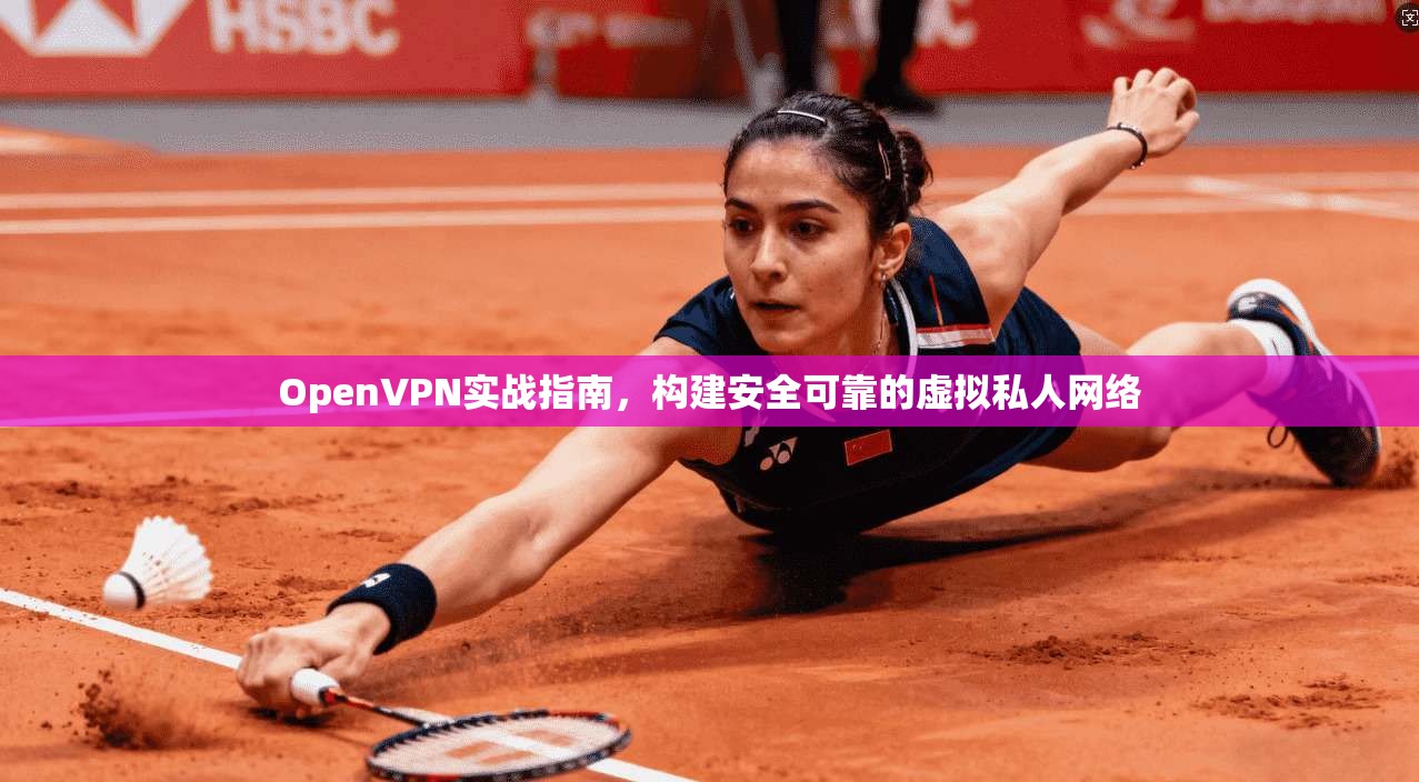OpenVPN实战指南，构建安全可靠的虚拟私人网络