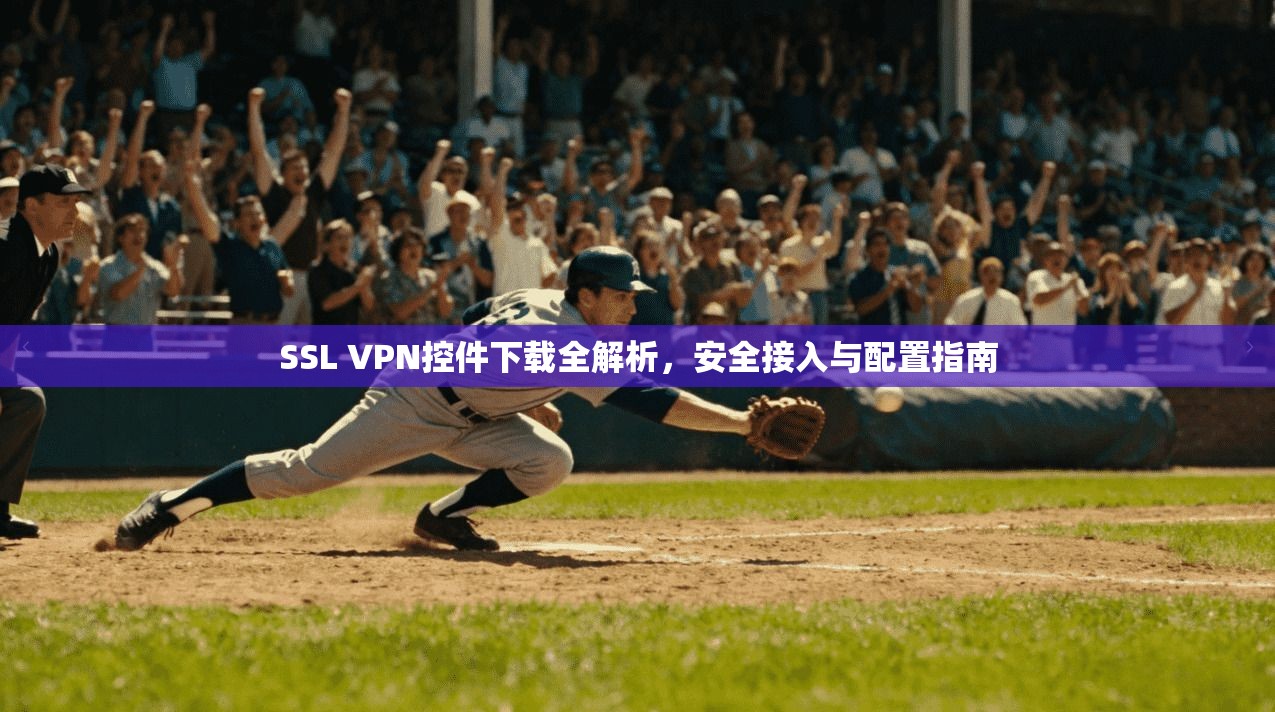 SSL VPN控件下载全解析，安全接入与配置指南