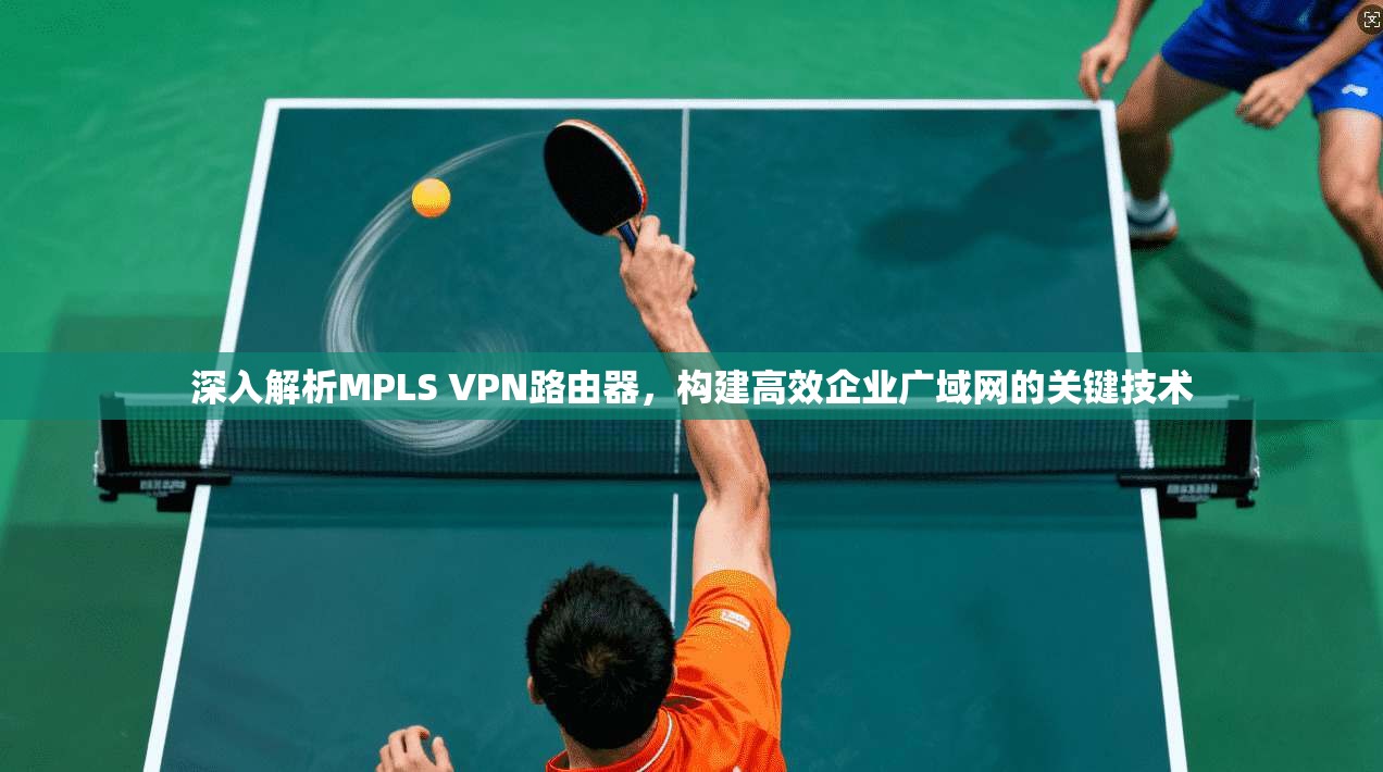 深入解析MPLS VPN路由器，构建高效企业广域网的关键技术